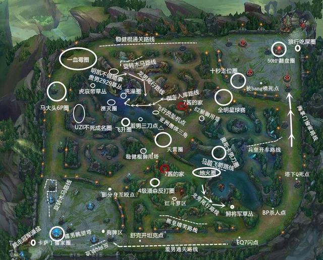 开云-FLY翻盘C9，Lehends操刀奇招英雄翻盘峡谷大战小组赛，技惊四座