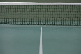 开云体育平台APP-韩国乒乓球队爆冷英国乒乓球队，樊振东高光表现