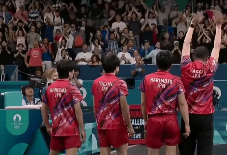 瑞典队翻盘法国队,张本智和惊艳四座的简单介绍 瑞典队翻盘法国队,张本智和惊艳四座的简单介绍